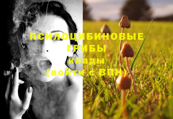 PSILOCYBIN Горно-Алтайск