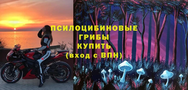 бошки Покачи