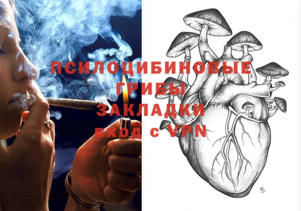 индика Губаха