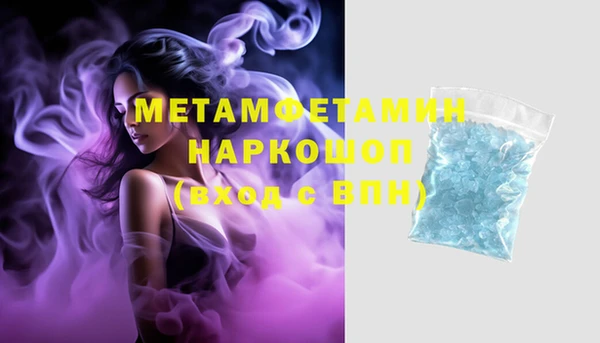 индика Губаха