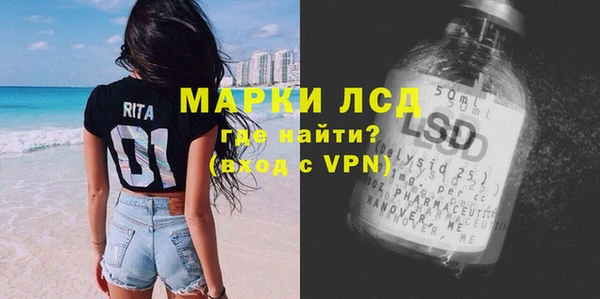 мяу мяу мука Гатчина